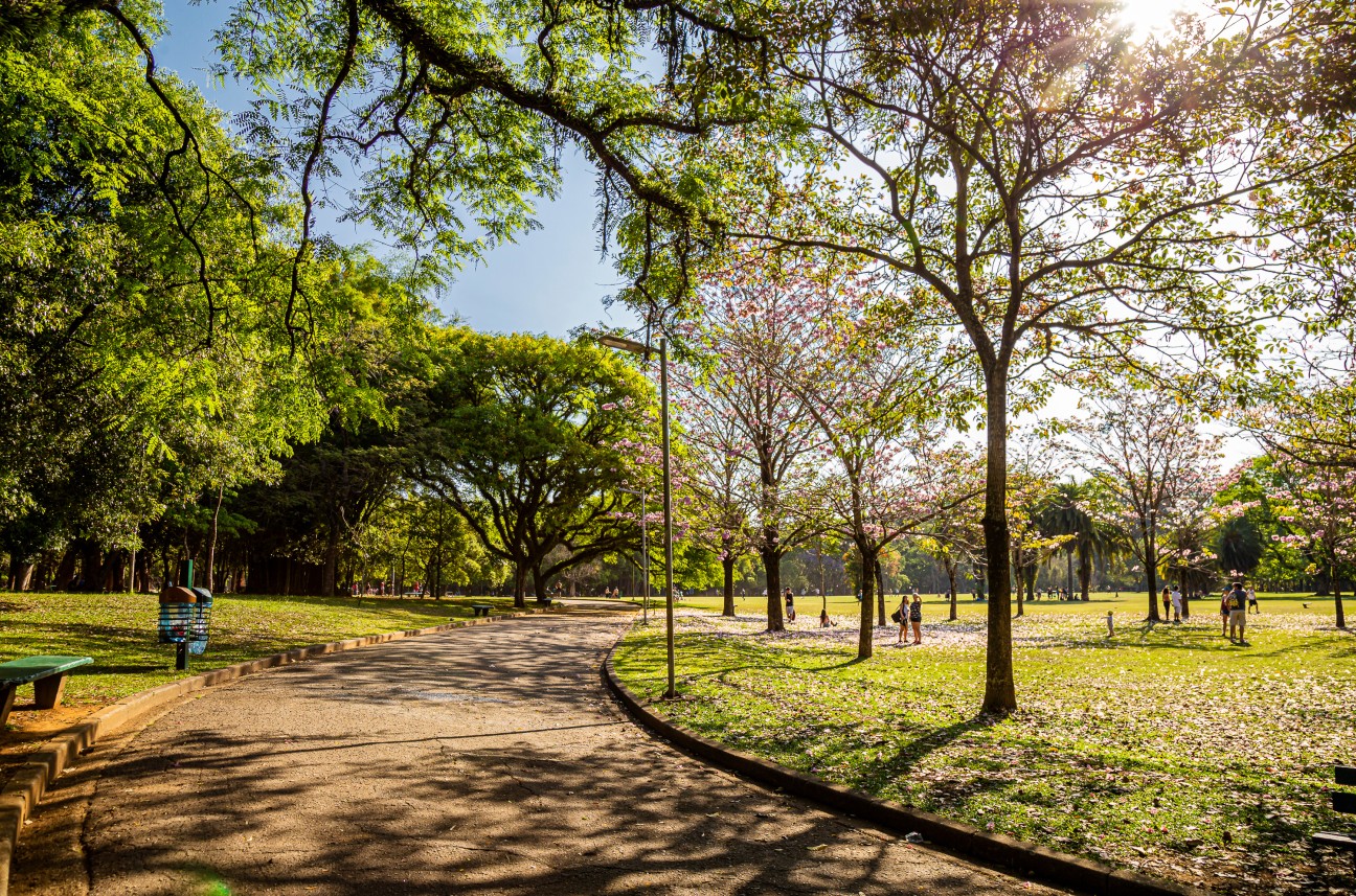 Parque do Ibirapuera, São Paulo