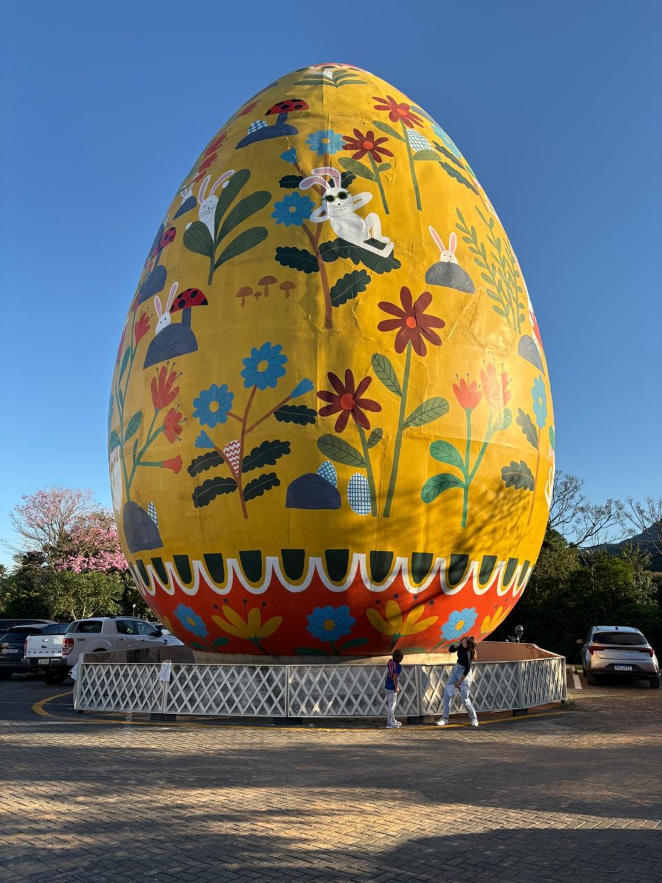 Ovo Gigante-Pomerode-SC
